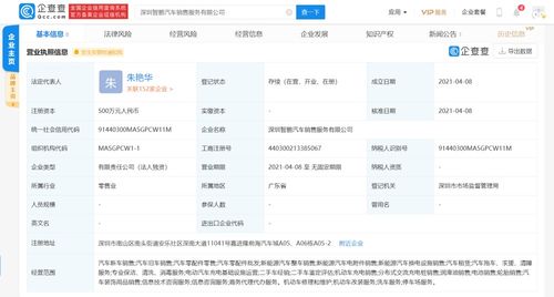 商务信息咨询 企业决策的智慧引擎与商业成功的导航者